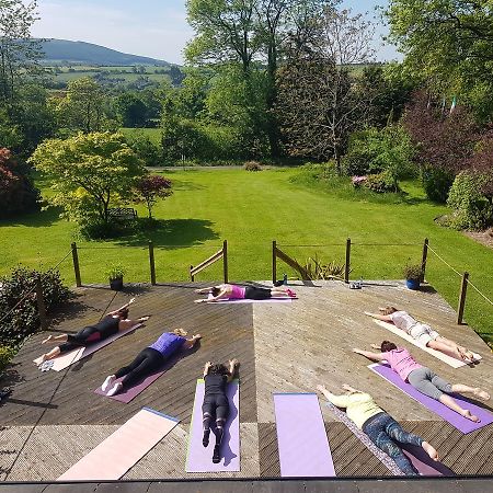 Creacon Wellness Retreat Ξενοδοχείο New Ross Εξωτερικό φωτογραφία